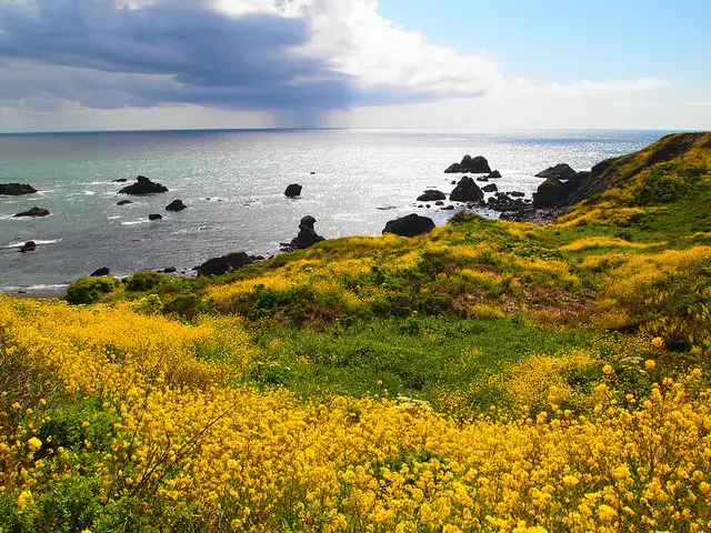 Shell Beach Sonoma Coast State Beach Shell Beach Sonoma Coast State Beach